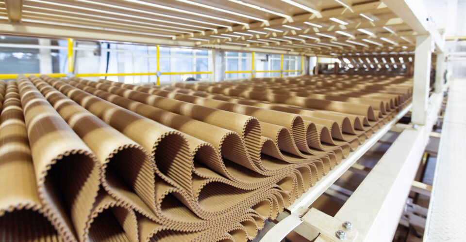 corrugated cardboard packaging production plant Europe